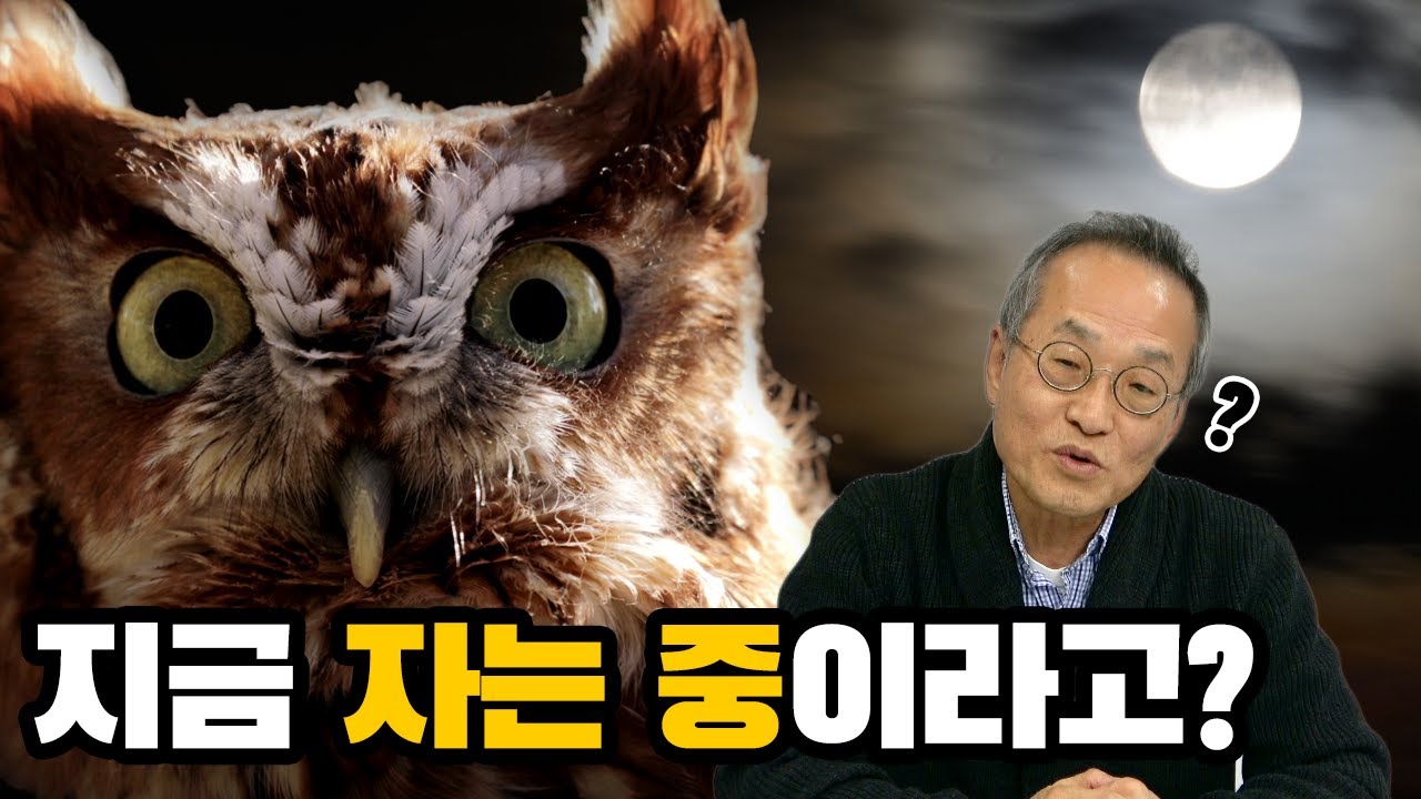 이 아이는 지금 자고있는 걸까요? + 쿠키영상 있음! [최재천의 아마존]