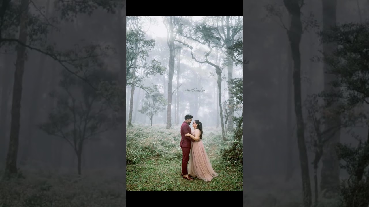 ඒ ආදරේ😍😍😍😍😍#goone-sl,#youtubeshorts ,#shorts