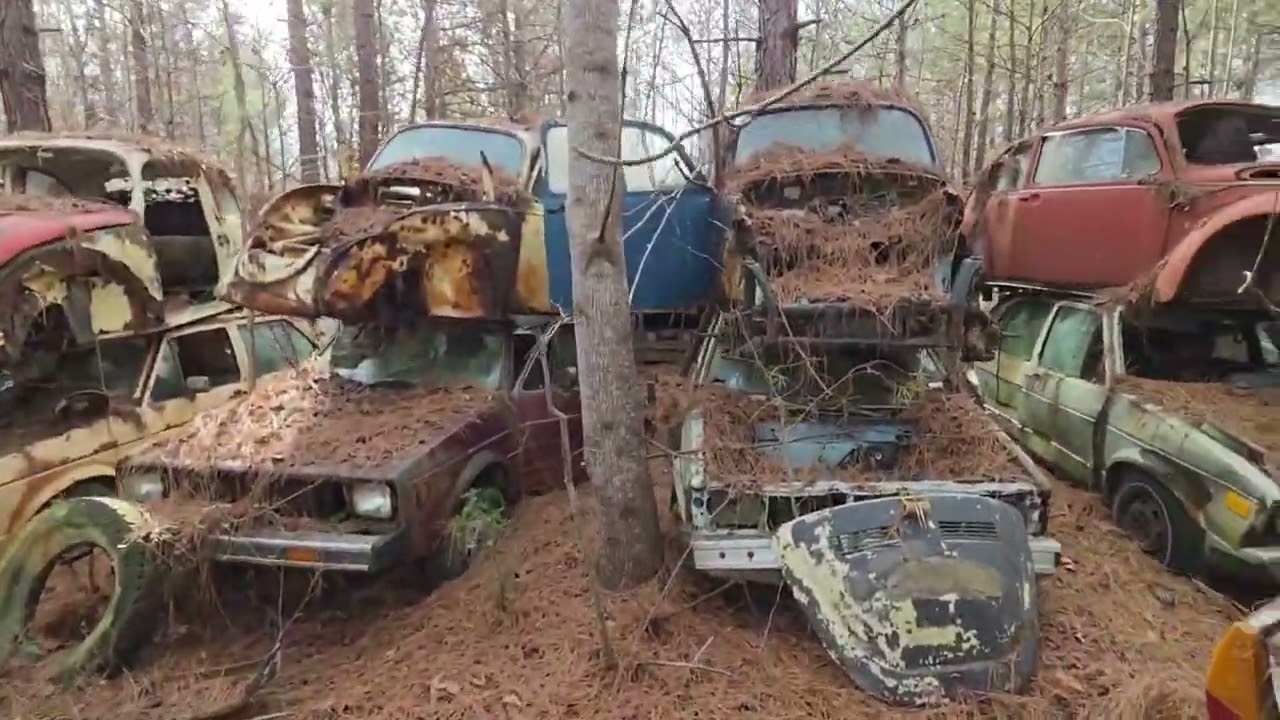 Boneyard ,classic gold,American Iron!