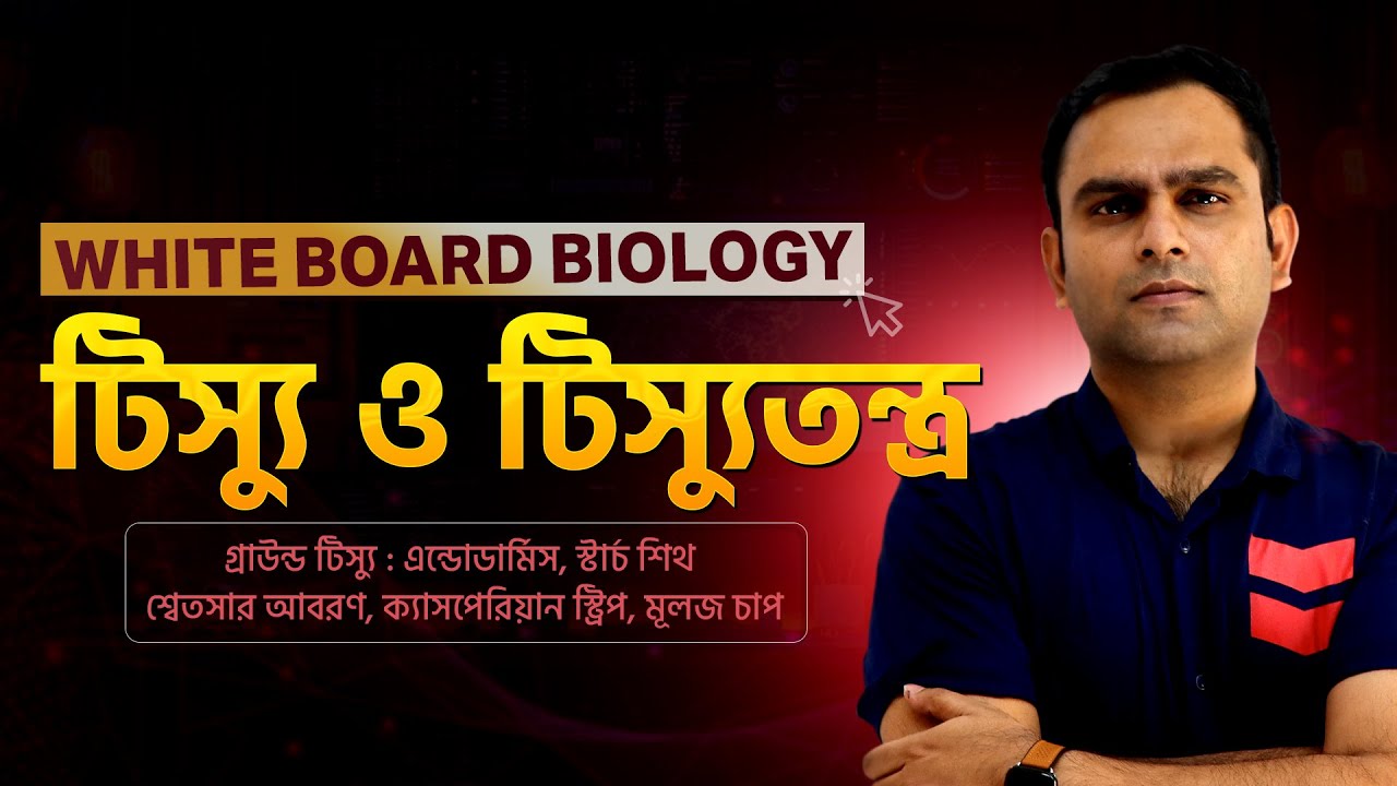 22. গ্রাউন্ড টিস্যু : এন্ডোডার্মিস, স্টার্চ শিথ , ক্যাসপেরিয়ান স্ট্রিপ, মূলজ চাপ | Biology Haters