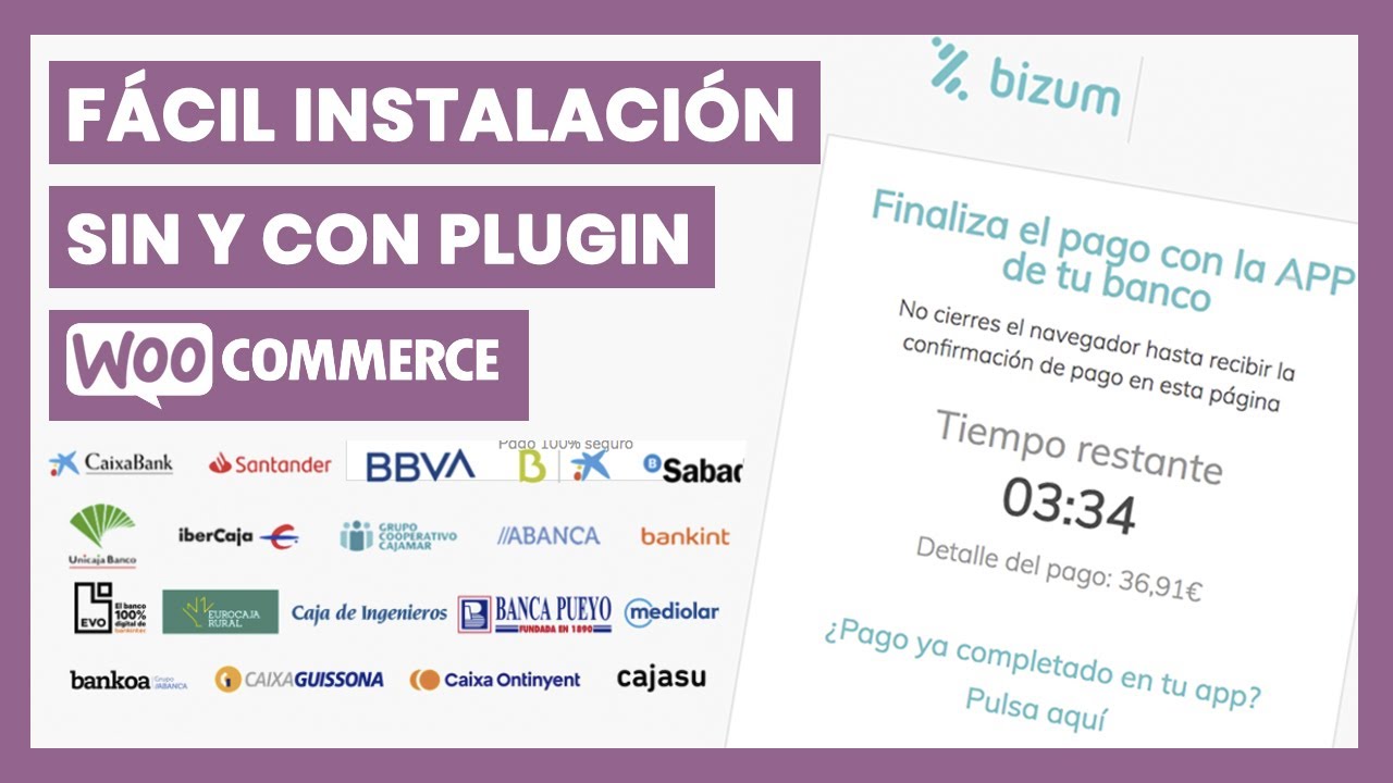 Aprende a Instalar BIZUM en WooCommerce paso a paso | 2 métodos de instalación diferentes | Diegol