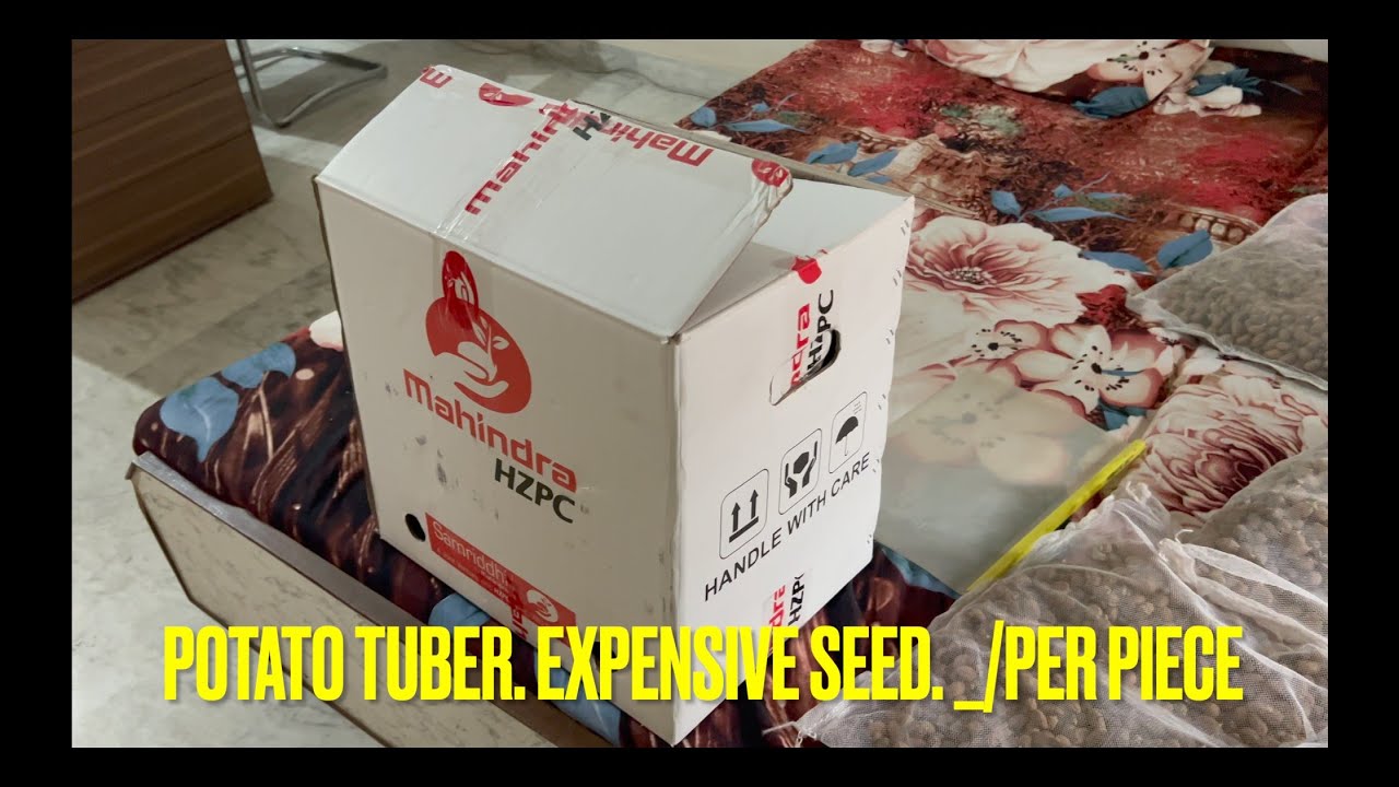 Seeding of Stage 1 Potato Tuber | Expensive seed | Mahindra HZPC | New Generation .