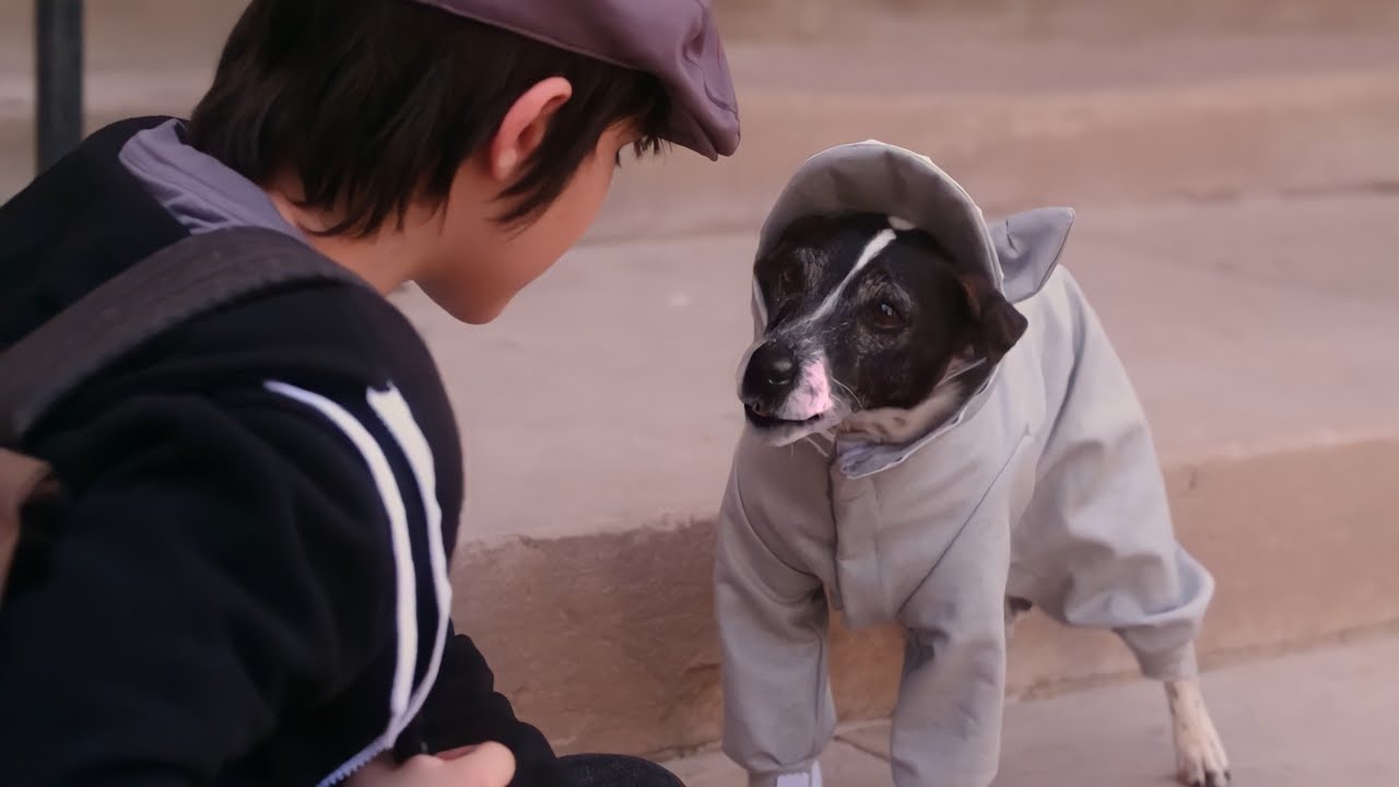 طفل بيجيله كلب فبيكتشف ان عمره ٦٠٠ سنة وانه مصاص دماء وبيقدر يتكلم The vampire dog