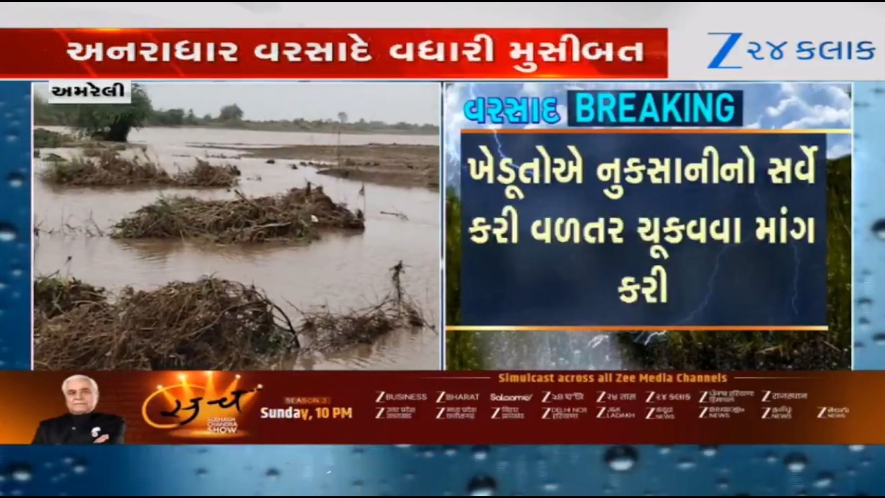 Gujarat :Farmers face huge crop loss due to incessant downpour in major parts of Amreli in past days