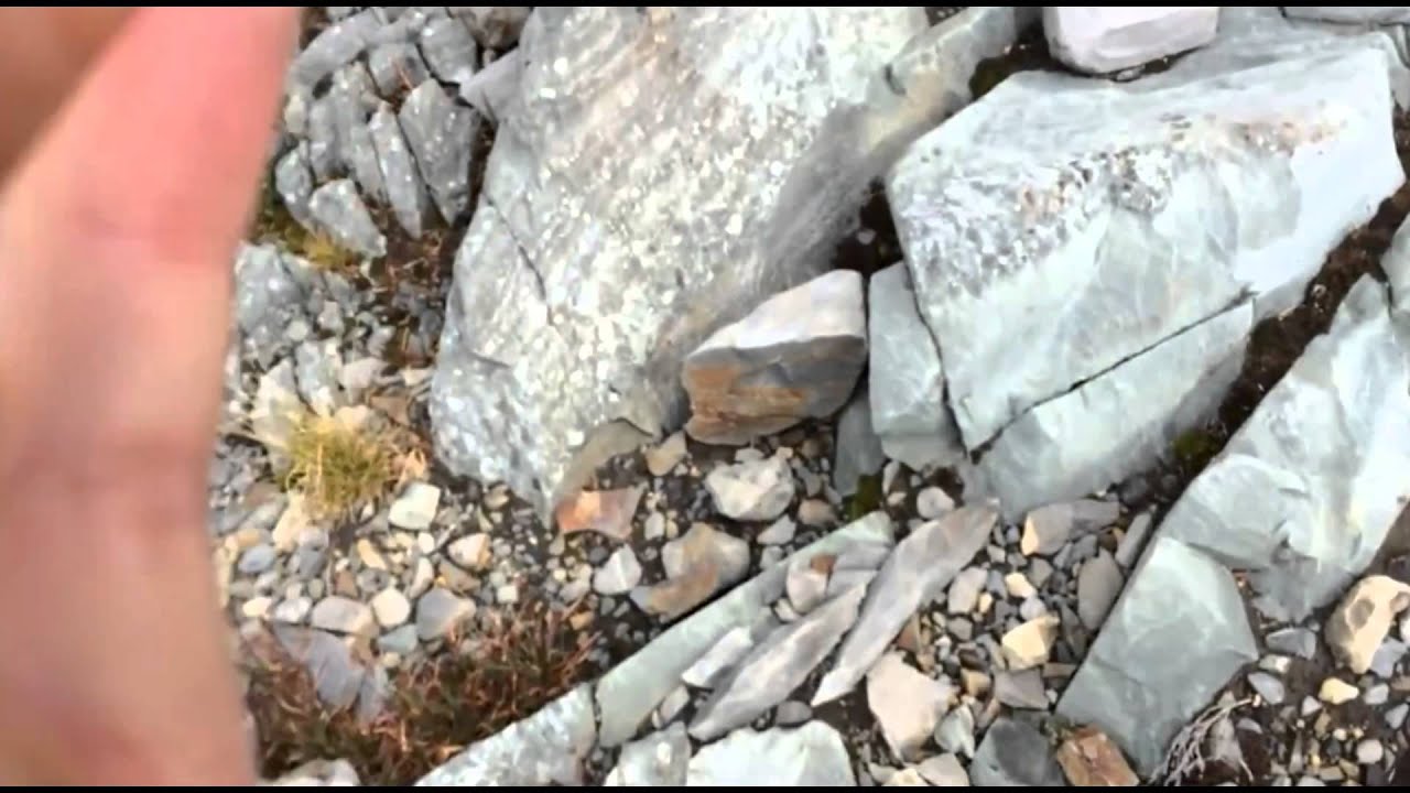 Sasquatch Sighting near Squamish ( August 16, 2014 ) Breakdown