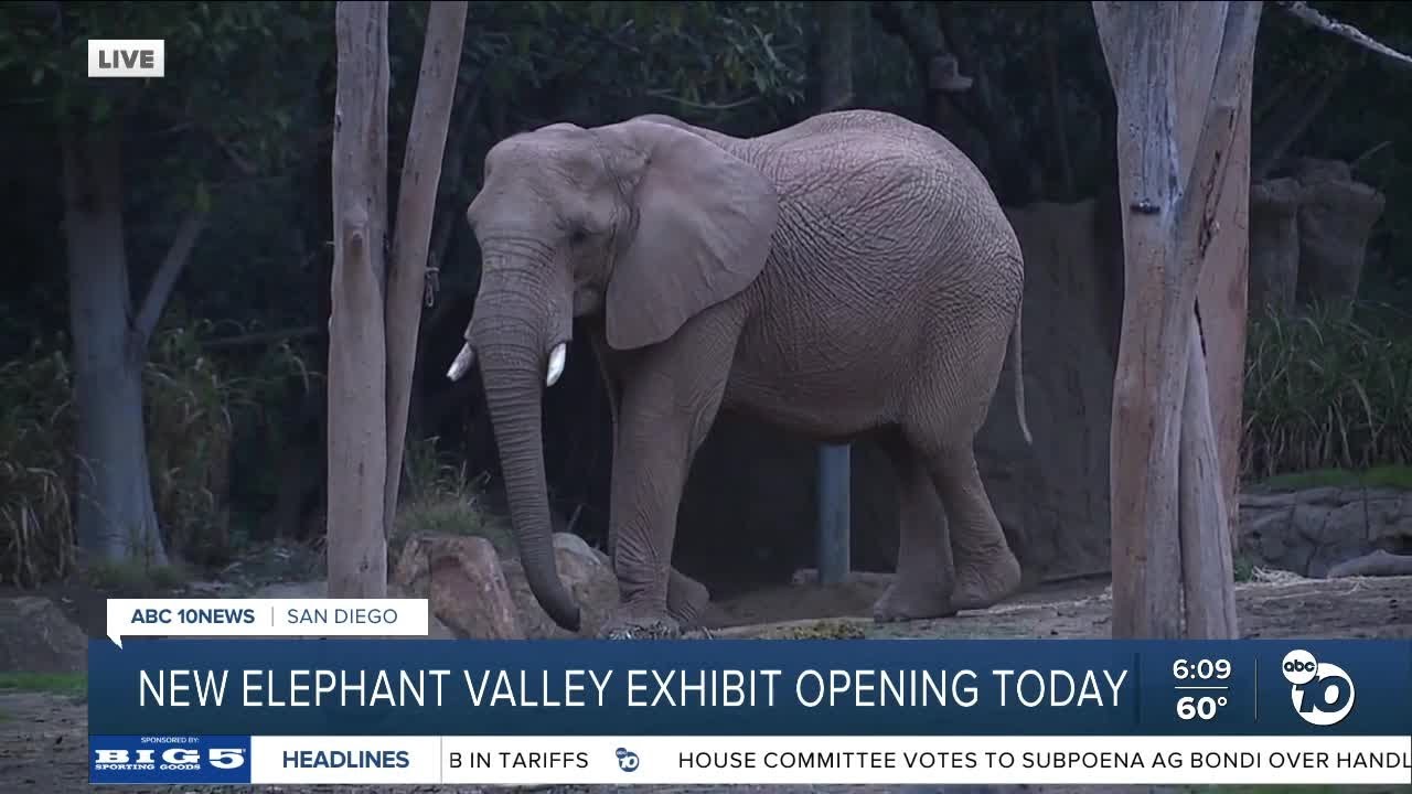 Elephant Valley exhibit opens Thursday at San Diego Zoo Safari Park