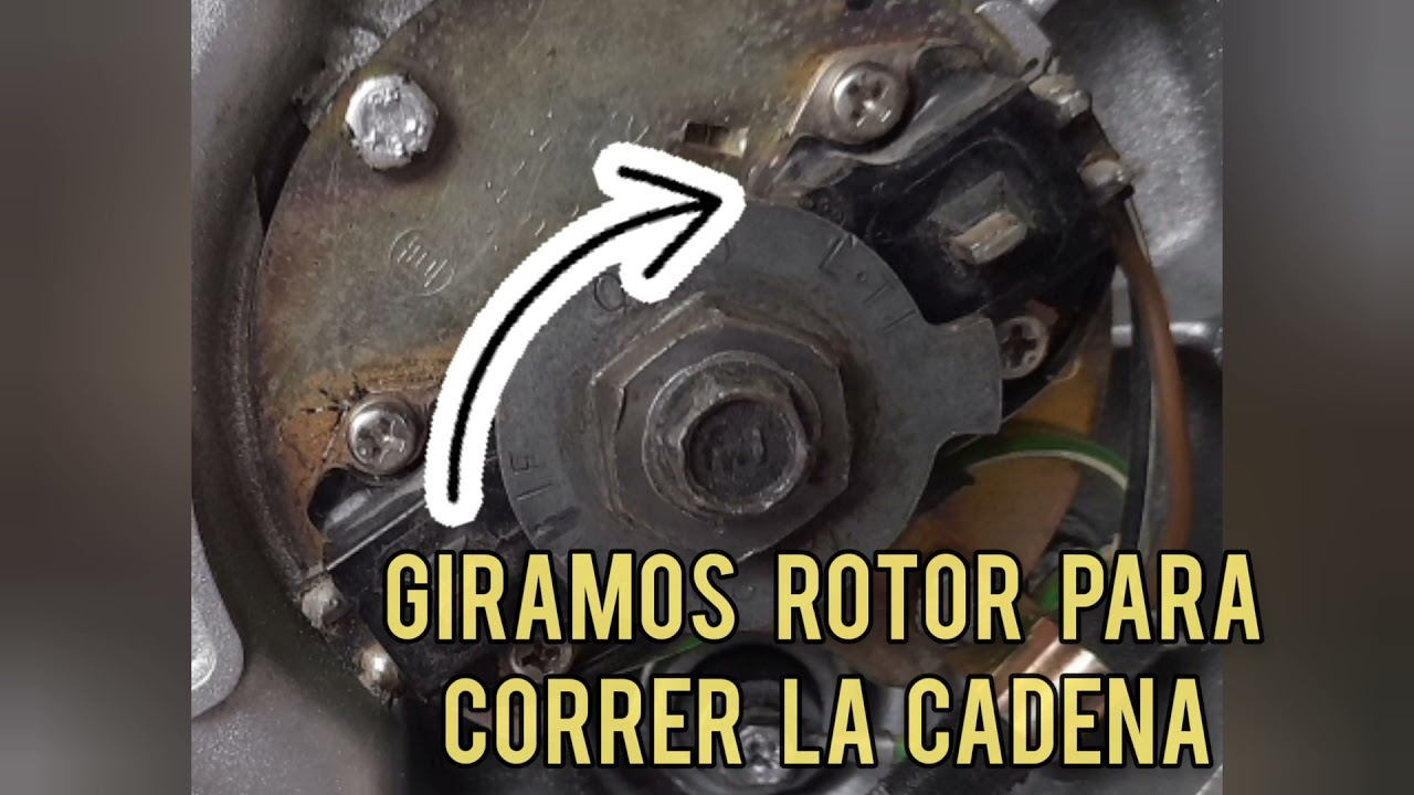 Cambio de  cadena distribucion  suzuki gs500