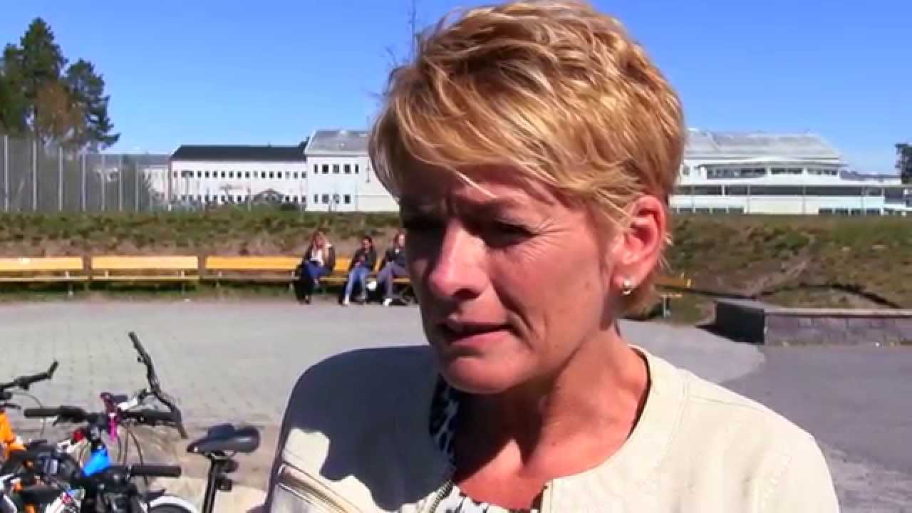 Een kijkje nemen in Zweden - Kunskapsskolan Nederland