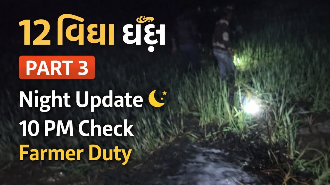 12 વિઘા ઘઉં 🌾 | PART 3 | Night Irrigation Update | 10 PM Farmer Duty LIVE