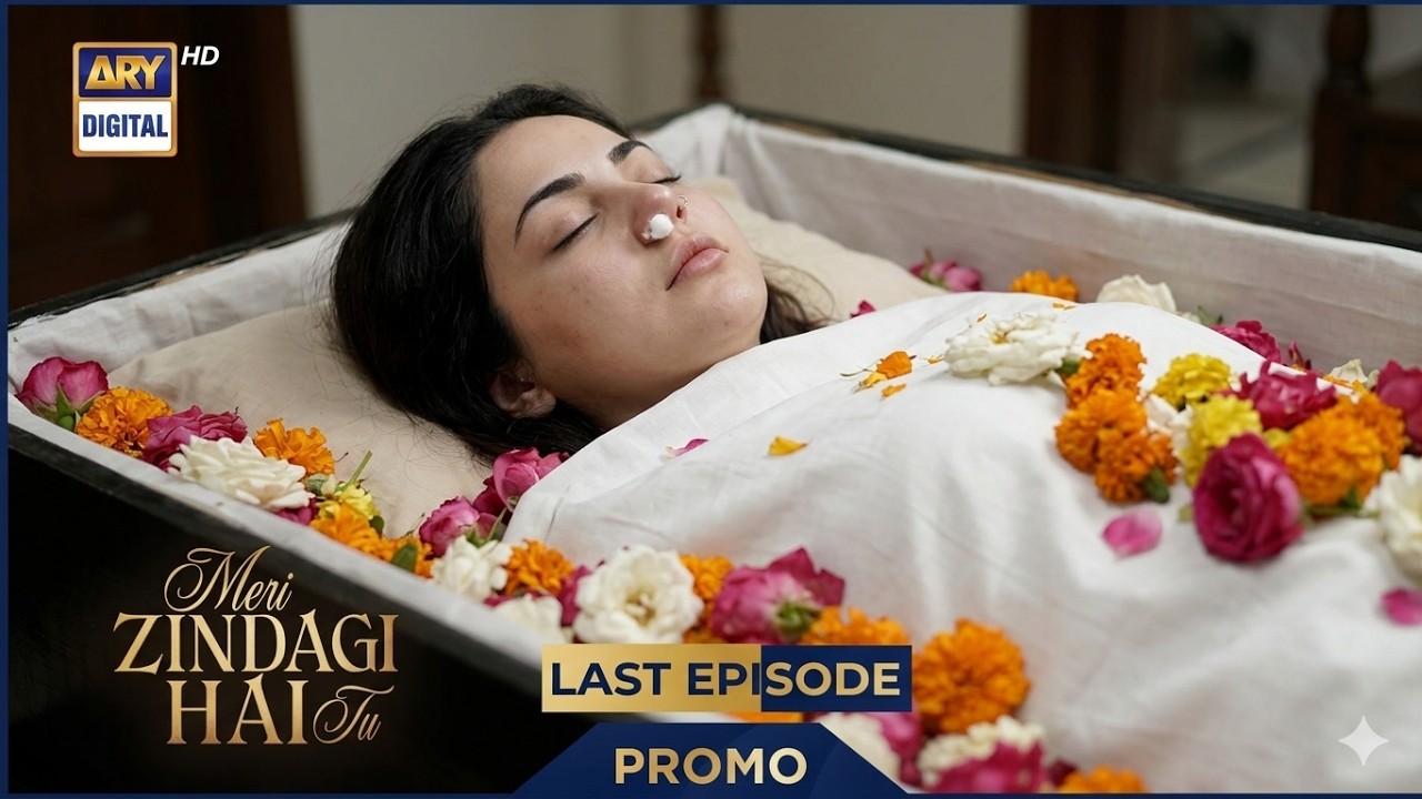 Meri Zindagi Hai Tu Last Ep Ending Explained | Meri Zindagi Hai Tu Fans Reacton on Last Ep | Review