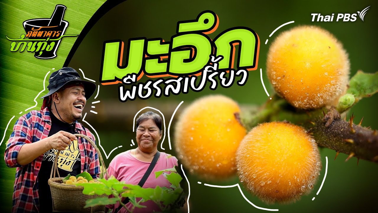 มะอึก | ภัตตาคารบ้านทุ่ง