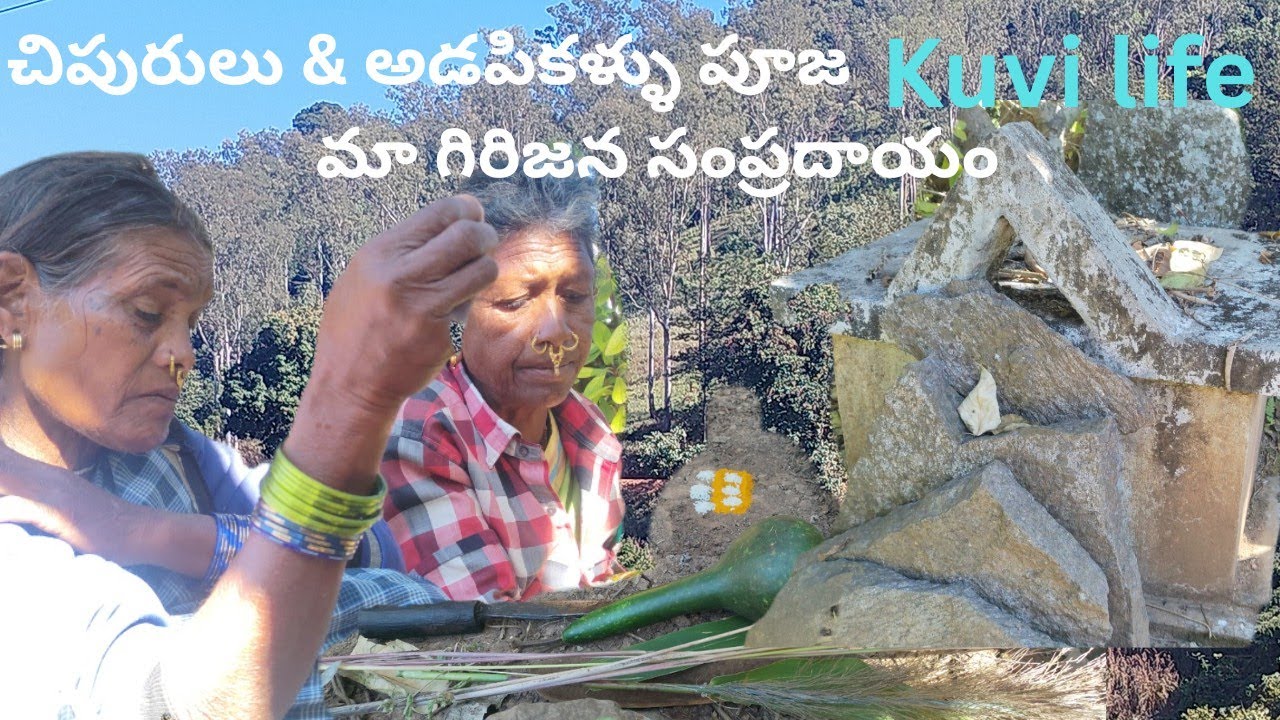 కువి భాషలో పూజ |చిపురులు&అడపికళ్ల పూజా సంప్రదాయంTraditional Kuvi PujaChipurulu and Adapikallu Ritual