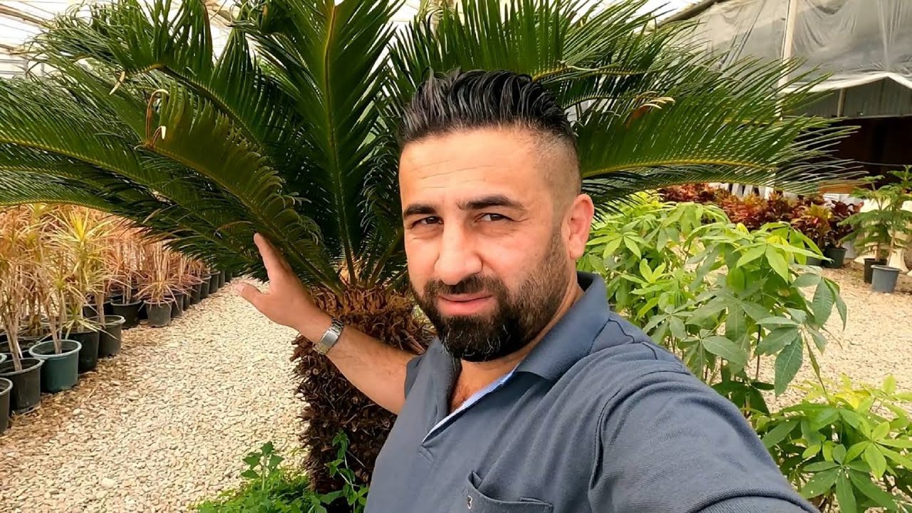 اكبر مشتل للنباتات والاشجار في السليمانية مع ذكر الاسعار