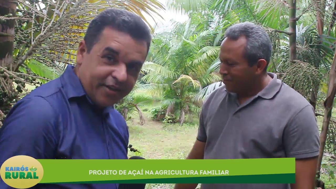 PROJETO DE AÇAÍ NA AGRICULTURA FAMILIAR