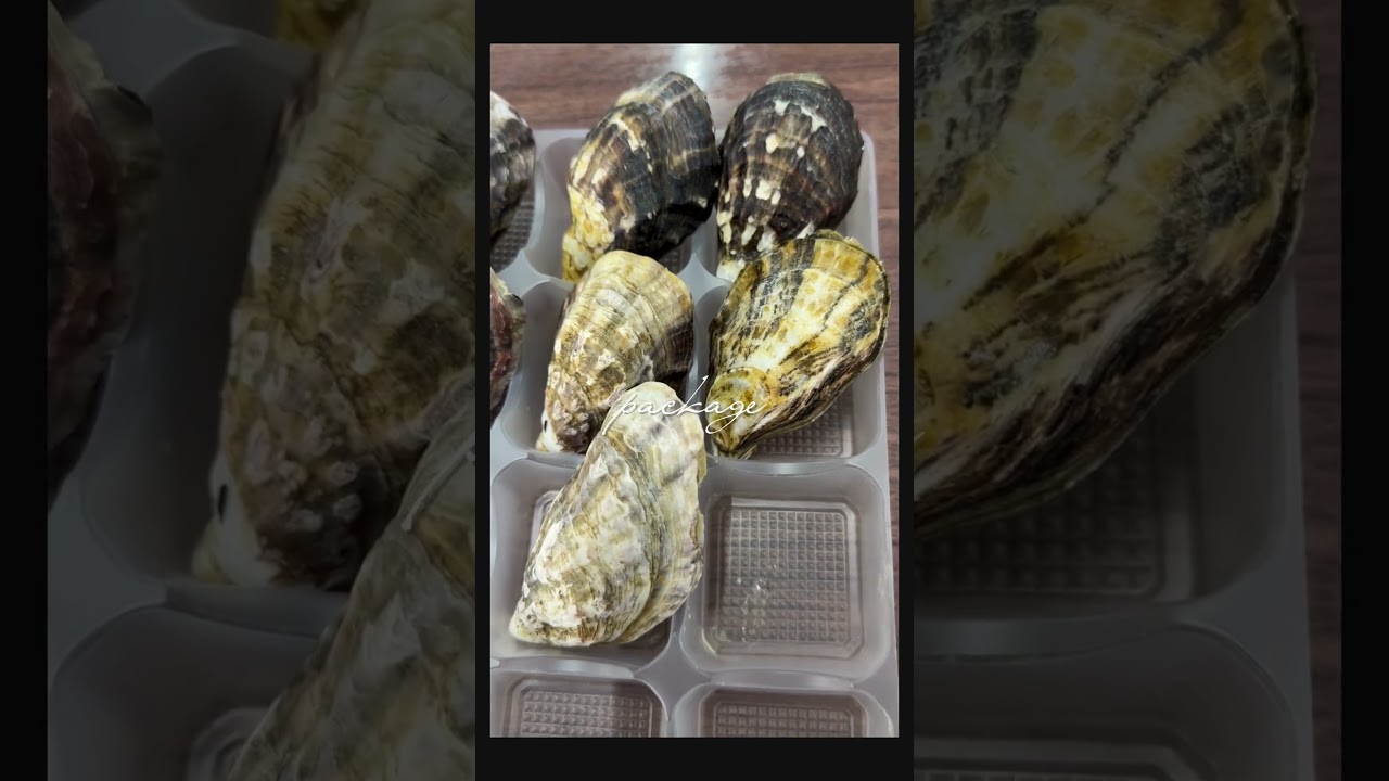 OYSTER　by Flip Farm System 牡蠣養殖　包装形態 #冷凍 #iqf #カキフライ