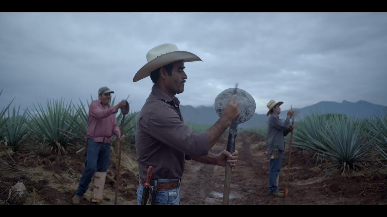 CORAZÓN DE AGAVE