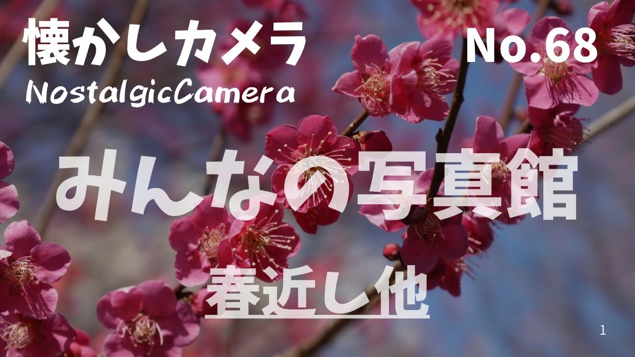 No.068「みんなの写真館」春近し他 2026年2月22日