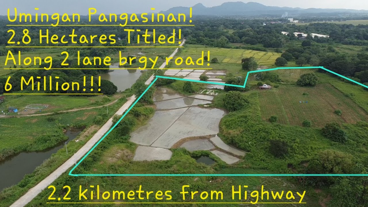 #vlog #631 MAGANDANG FARMLOT ULIT DITO SA UMINGAN PANGASINAN 2.8HAS MALAPIT SA HIGHWAY!