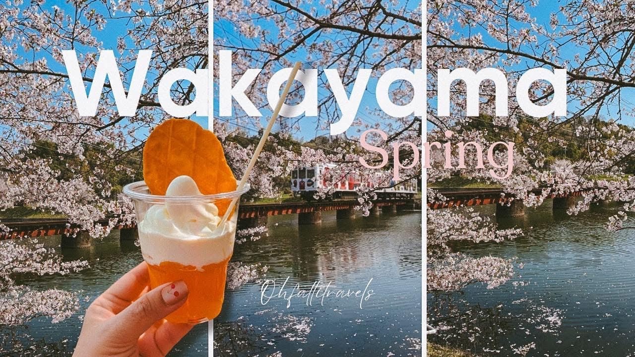 3 days in underrated Wakayama. 🇯🇵🌸 Sakura in full bloom & Riding the cutest cat train | Spring Vlog