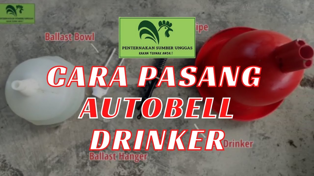 CARA PASANG AUTOBELL DRINKER dari Penternakan Sumber Unggas
