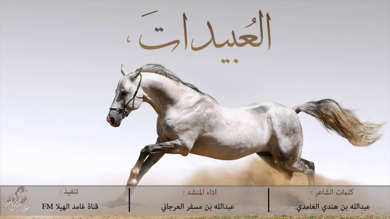 شيلة العبيدات | كلمات : عبدالله بن هندي الغامدي - أداء : عبدالله بن مسفر العرجاني [HD]