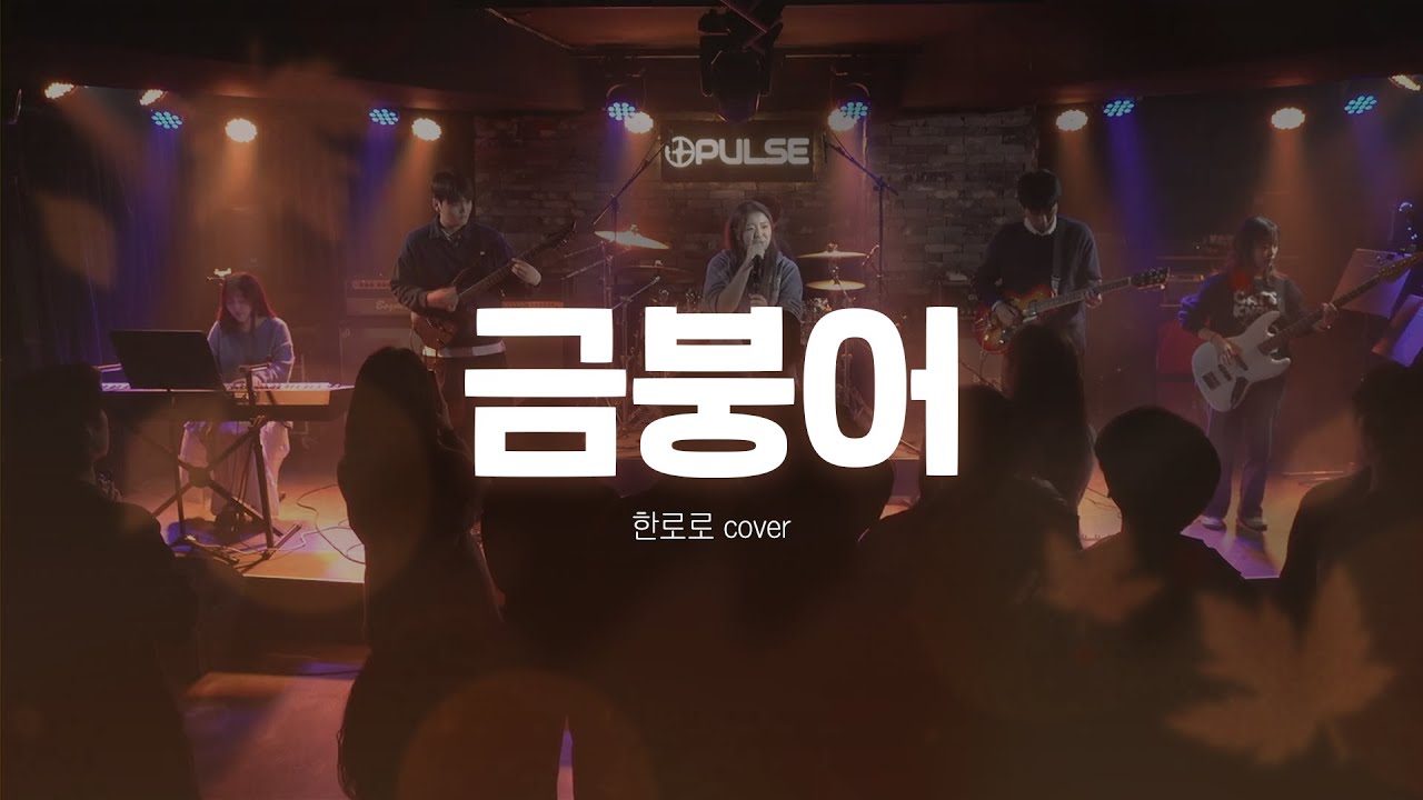 [2025 중앙대 소울 3기 가을 정기공연] 금붕어 - 한로로 cover