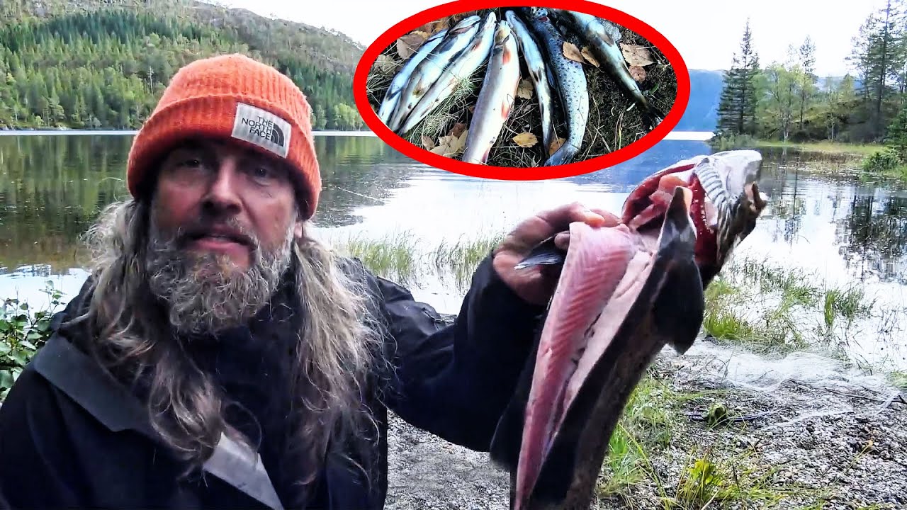 To Win The Championship And A $500,000 Prize, Even Sharks Have Become Food For Men.