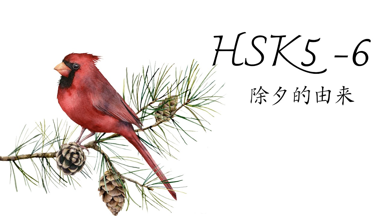 (2.0) HSK5-6: 除夕的由来/Nguồn gốc đêm giao thừa/ GT tiêu chuẩn HSK5