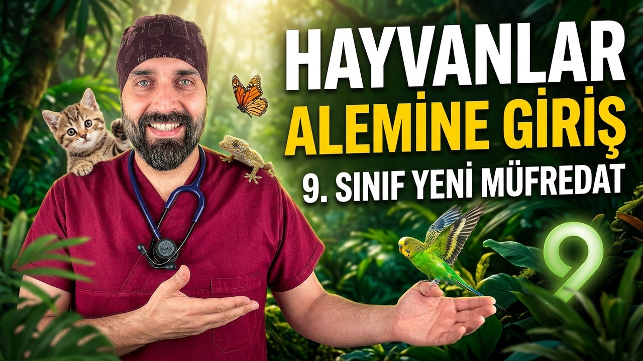 12. Ders: Hayvanlar Alemi Giriş | Dr. Biyoloji 9. Sınıf Yeni Müfredat