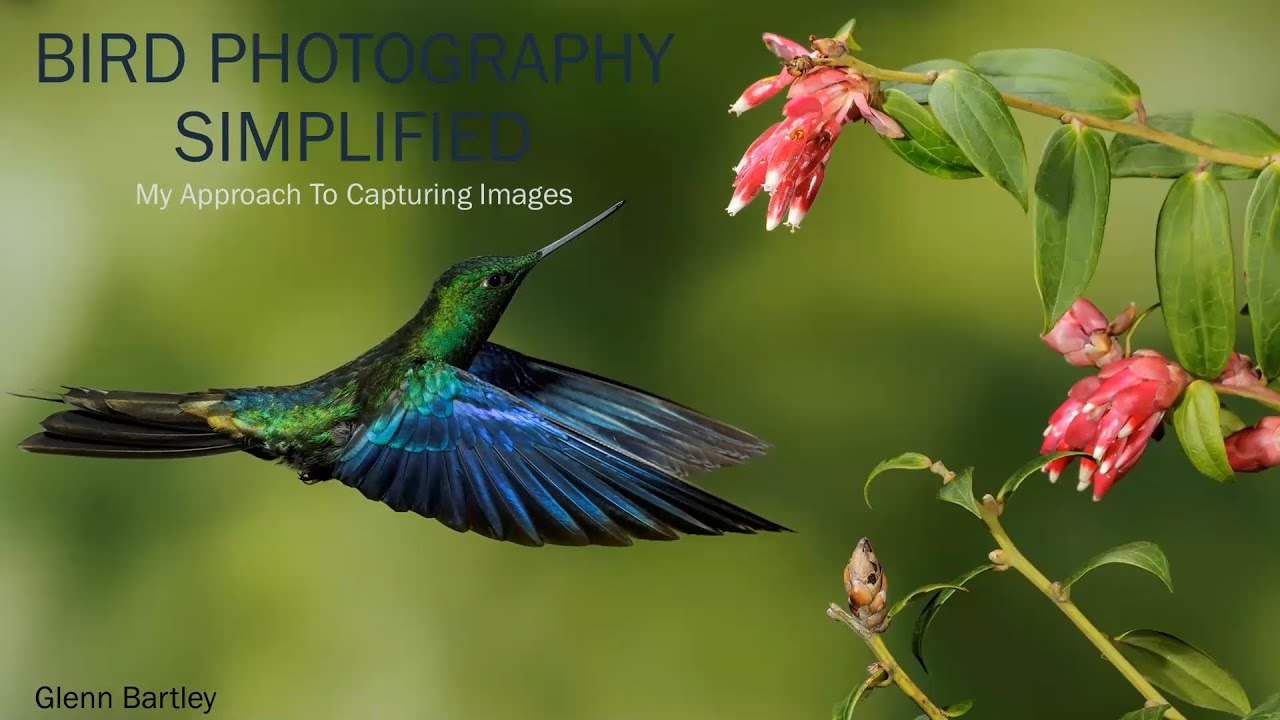 Bird Photography Simplified - Glenn Bartley