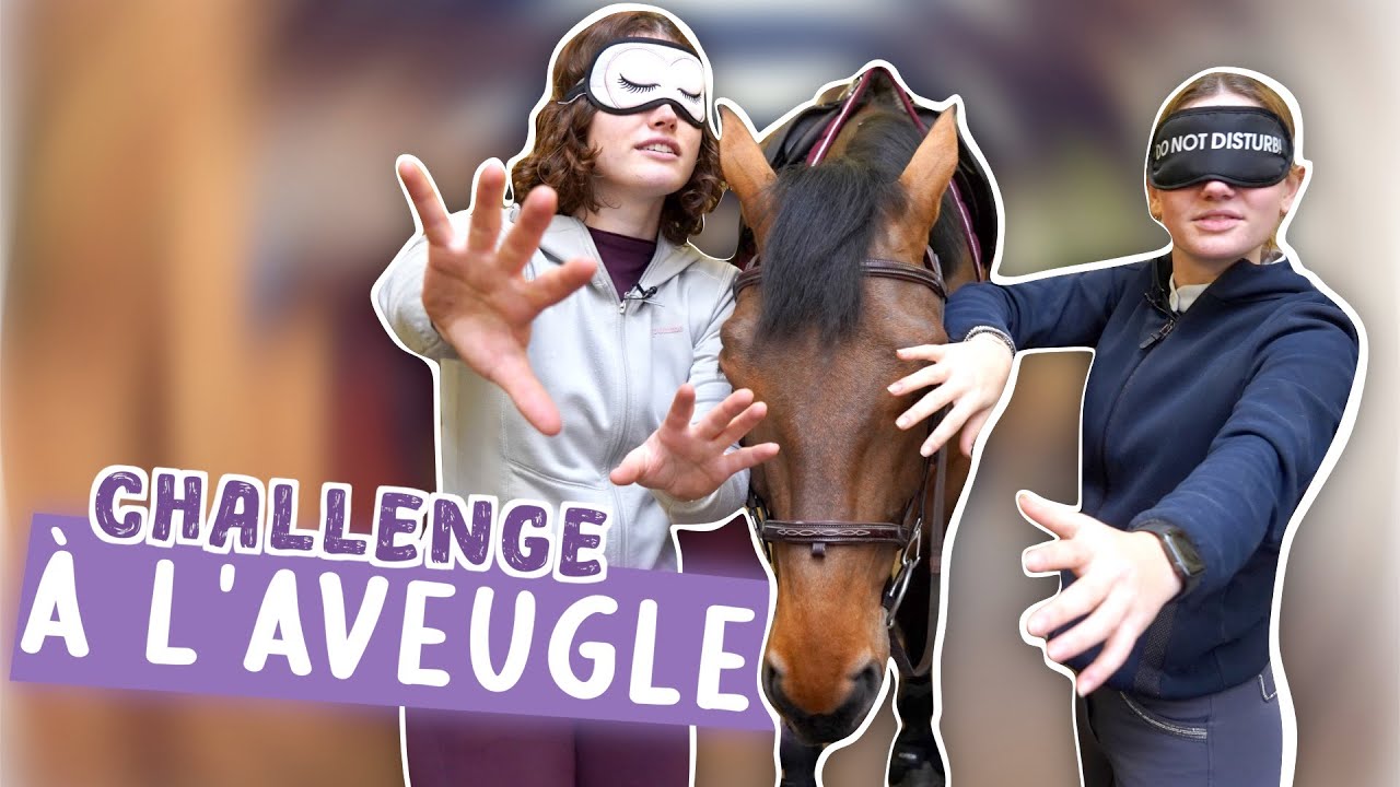 ON PRÉPARE UN CHEVAL À L'AVEUGLE (je me fais piéger)