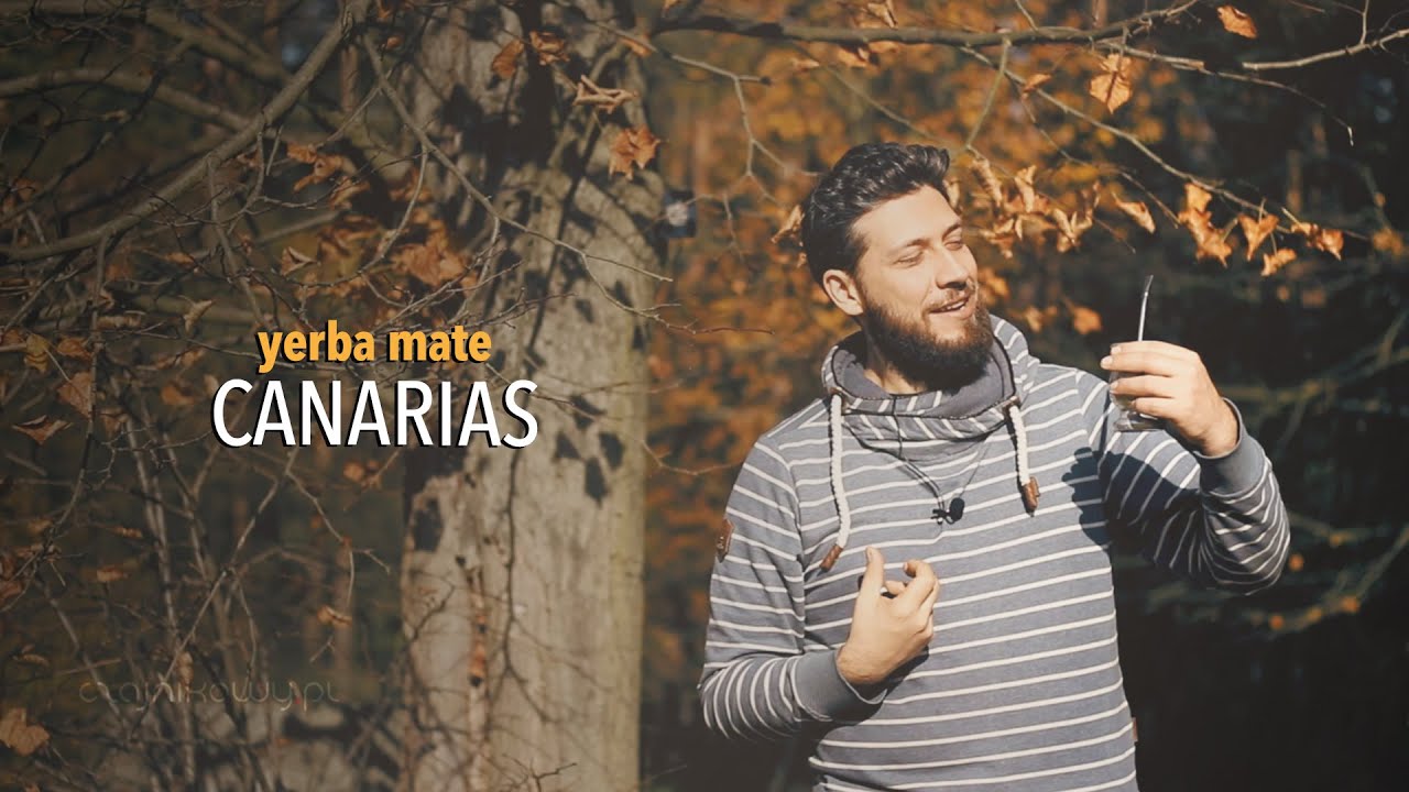 Yerba mate CANARIAS – najmocniejsza yerba z Urugwaju? Test i opinia