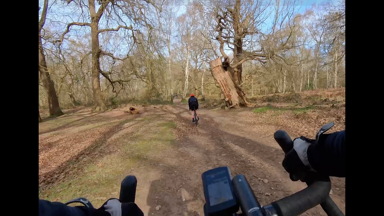 Glorious Gravel Sherwood Pines March 2025