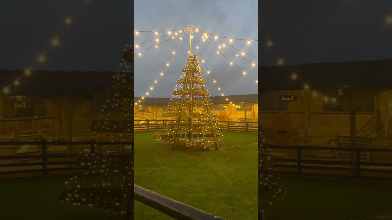 Joyful Journeys at the Pennywell Christmas Experience 🎅🎄