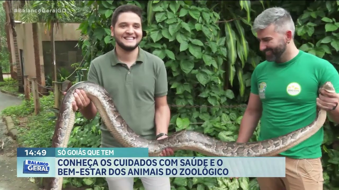 SÓ GOIÁS QUE TEM: BEM-ESTAR DOS ANIMAIS DO ZOOLÓGICO