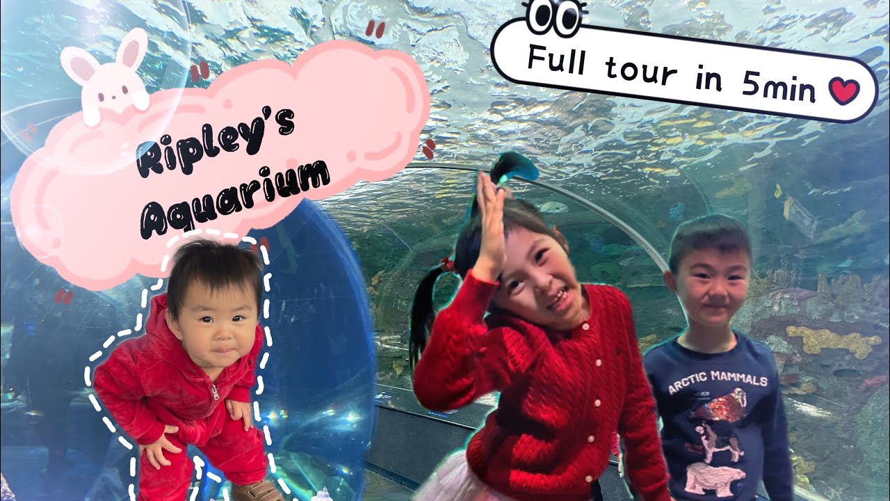 Ripley’s Aquarium of Toronto full tour - family vlog