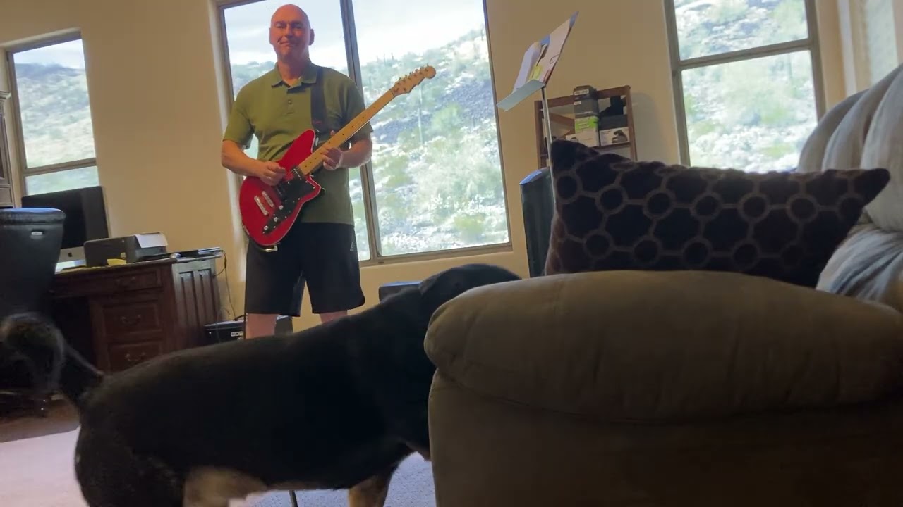 Reverend Jetstream 290 Slow Jam