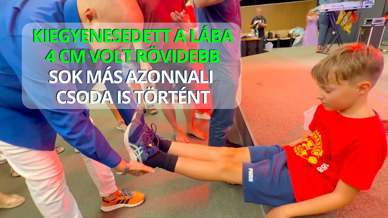 AZONNALI CSOD&Aacute;K A SZOLG&Aacute;LATON - Somogyi Attila
