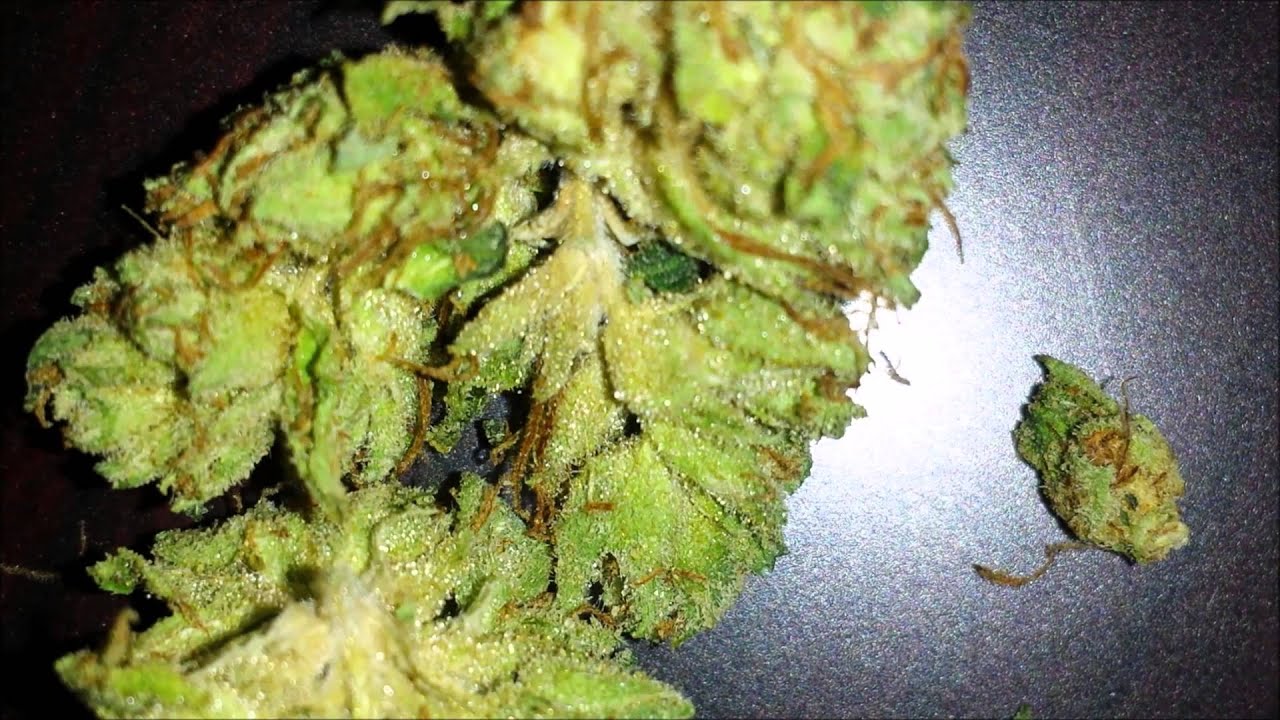 Dab of SOUR OG Chased by Bongload of FIRE OG