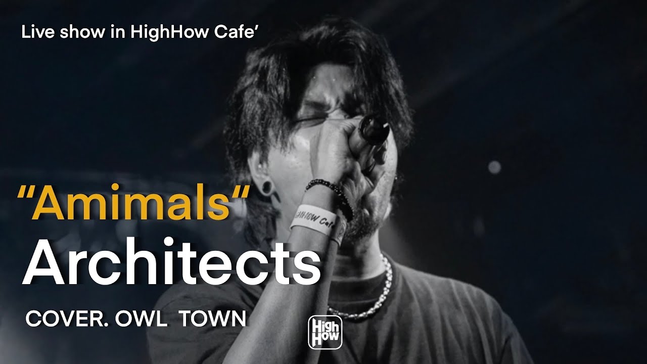 Architects - "Animals" //  OWL TOWN COVER @HH_CAFE