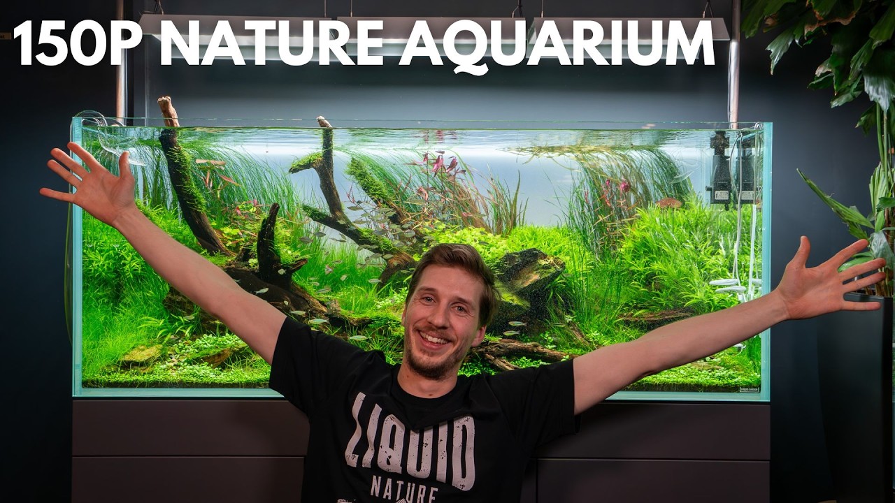 150cm Nature Aquarium einrichten! Liquid Garden 150P