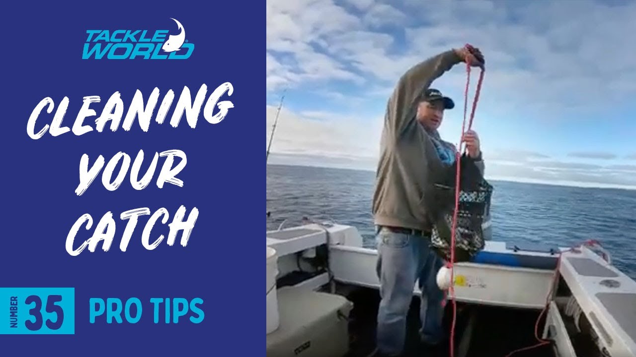 How To Properly Clean Your Catch