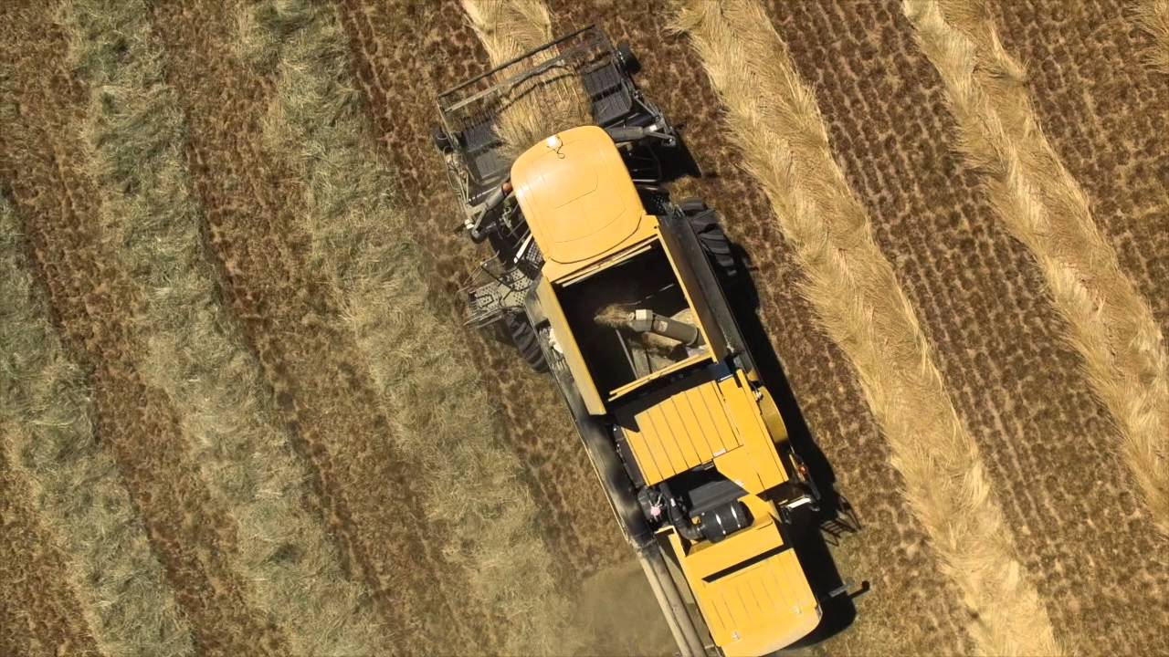 2015 AG Oregon Grass seed Harvest