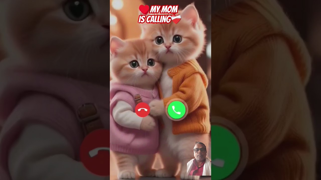 #ringtone #nadaderingtelepon #ringtones #cat #cute #funny #smartphone #music #bgm #calling