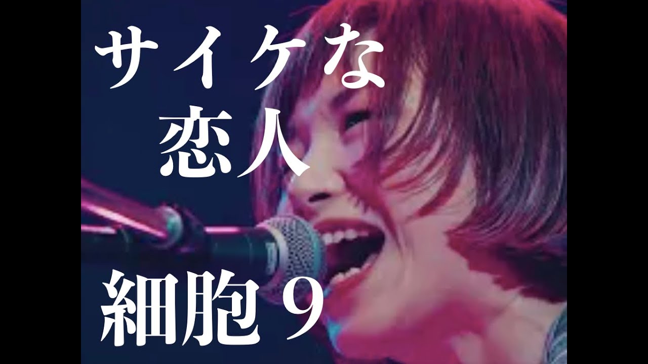 モーモールルギャバンLIVE「サイケな恋人〜細胞９」2025.2.1 川崎CLUB CITTA'『BAYCAMP202502』