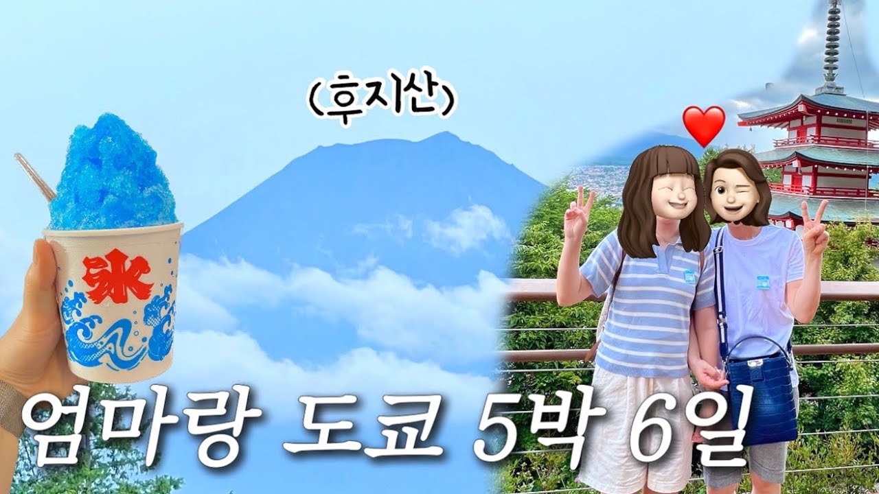 일본 도쿄 브이로그 | 외노자의 도쿄 효도 관광 일상(하또버스 후지산 패키지)