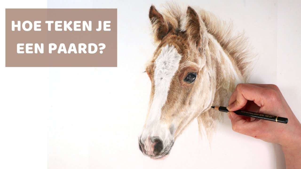 Hoe teken je een paard? 🐴 | LEREN TEKENEN voor beginners