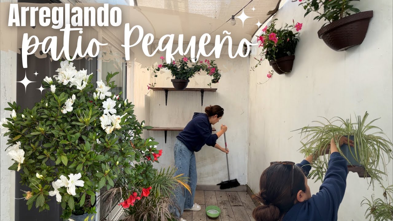 CAMBIOS en mi PATIO 🌿✨ con poco presupuesto 💰 COMPRÉ UN ARBOLITO 😍 Ya tengo camioneta 🚘 