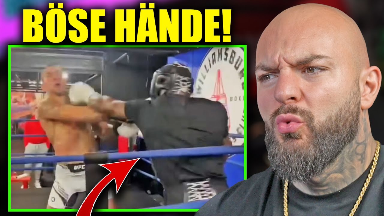 PROFI BOXER hat keinen RESPEKT vor Alex Pereiras Power! RINGLIFE