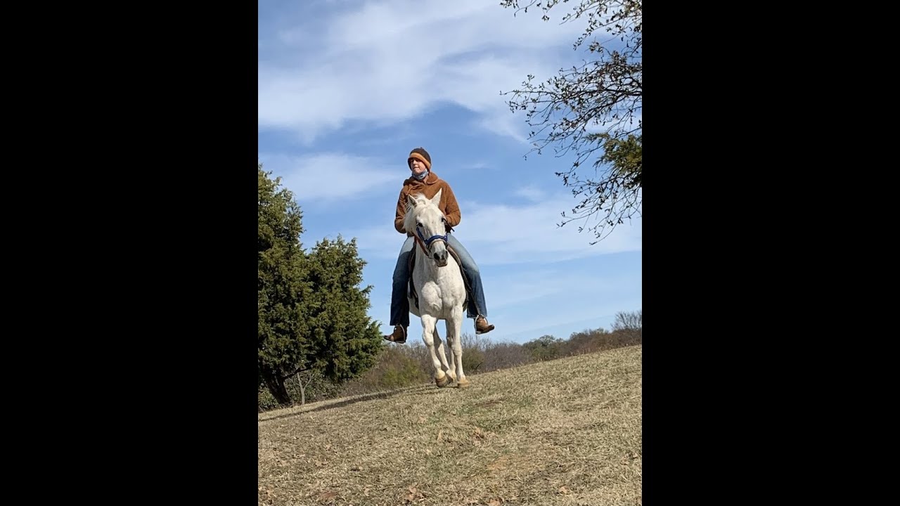 Maryland Teacher Rides Paso Fino Horses